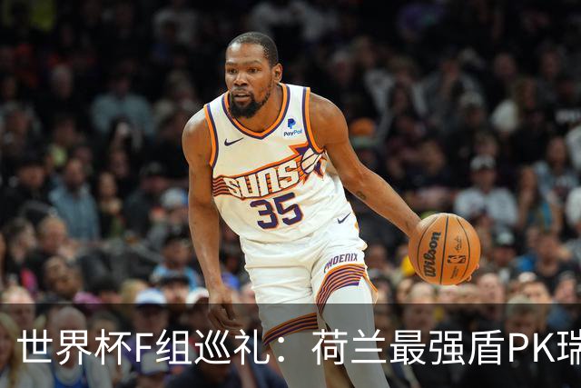 世界杯F组巡礼：荷兰最强盾PK瑞典犀利刀 日本短板明显